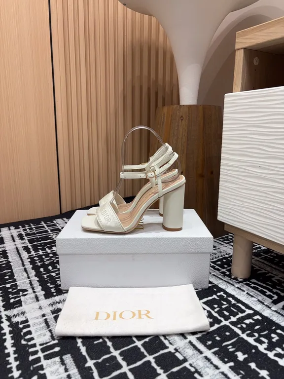 Dior Shoe 